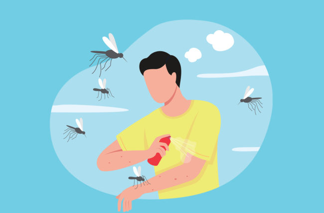 Mosquitoes have neuronal fail-safes to make sure they can always smell humans