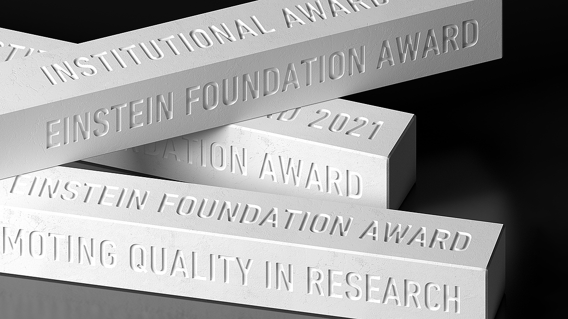 The Einstein Foundation Award